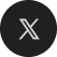 x icon